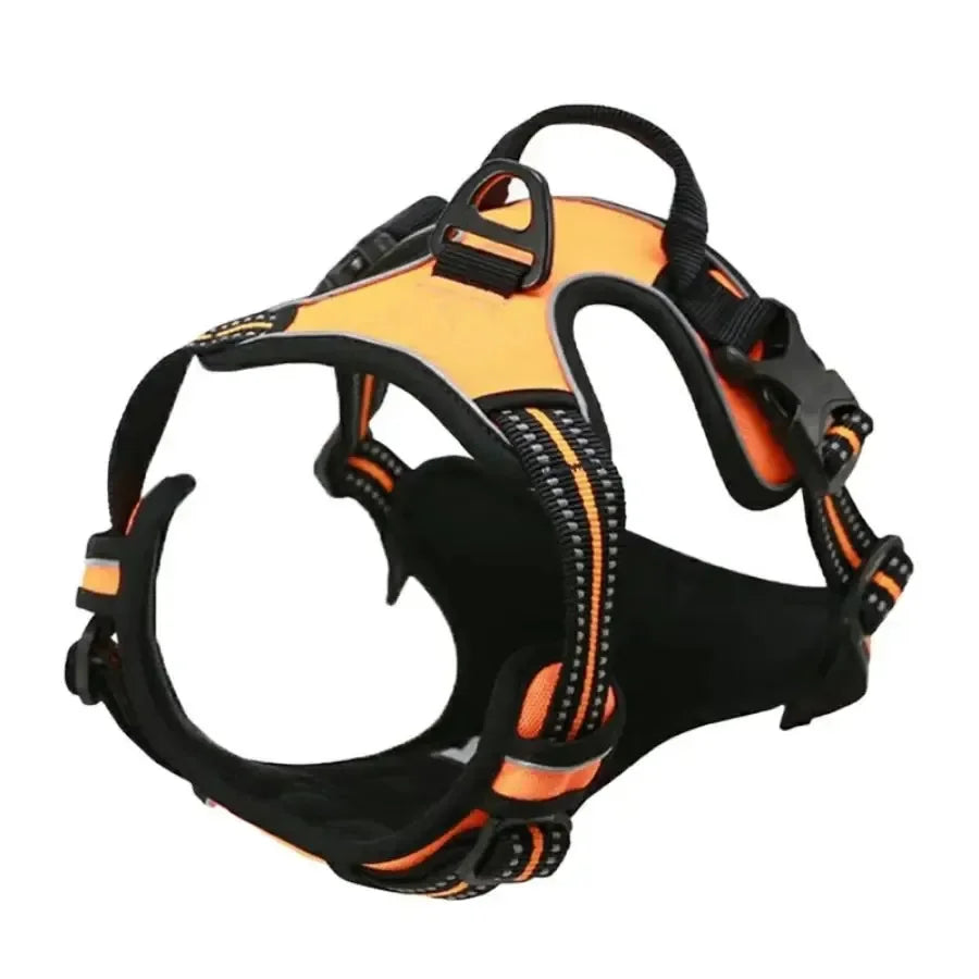 collar para perro en varios colores grande avec design ergonomique orange pour un confort optimal.