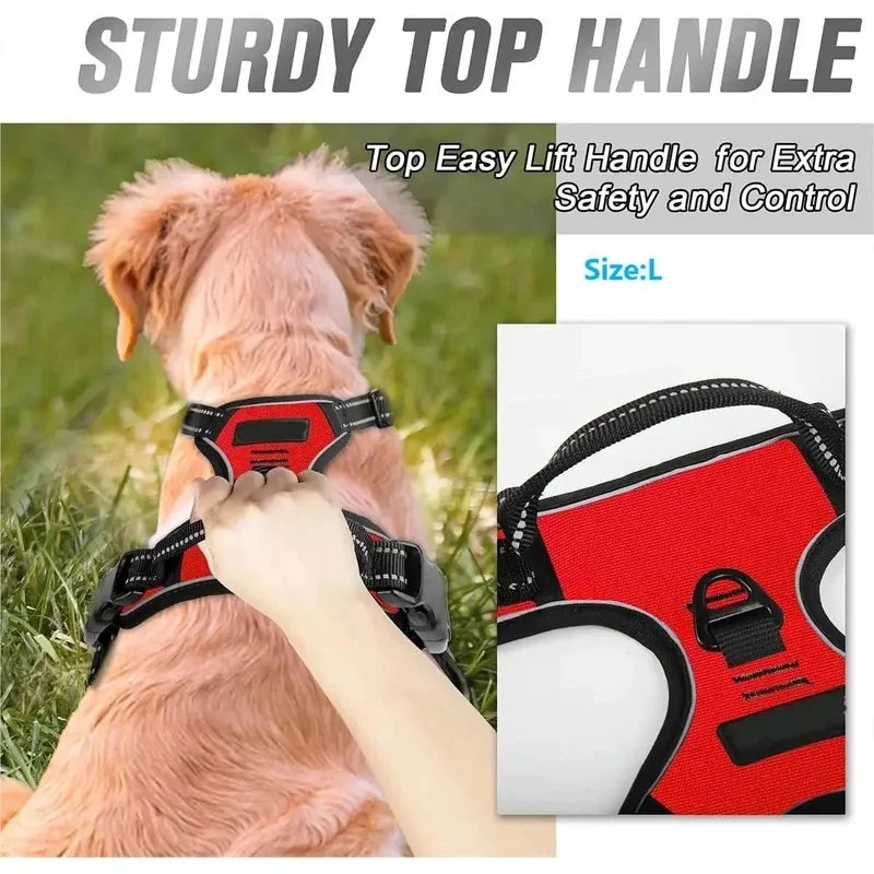 Collar para perro en varios colores avec poignée supérieure robuste pour sécurité et contrôle.