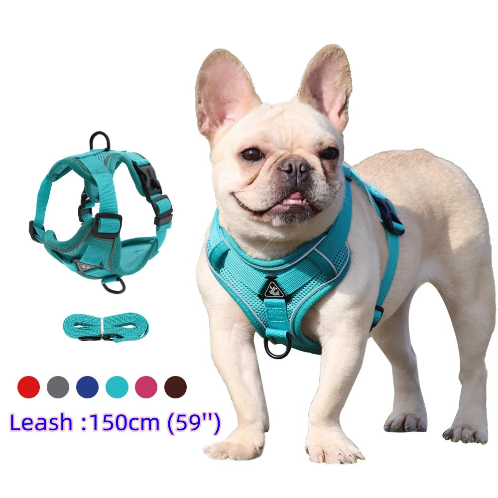arnés y correa resistente para perro mediano y cachorro, harnais confortable pour chien de taille moyenne et chiot.