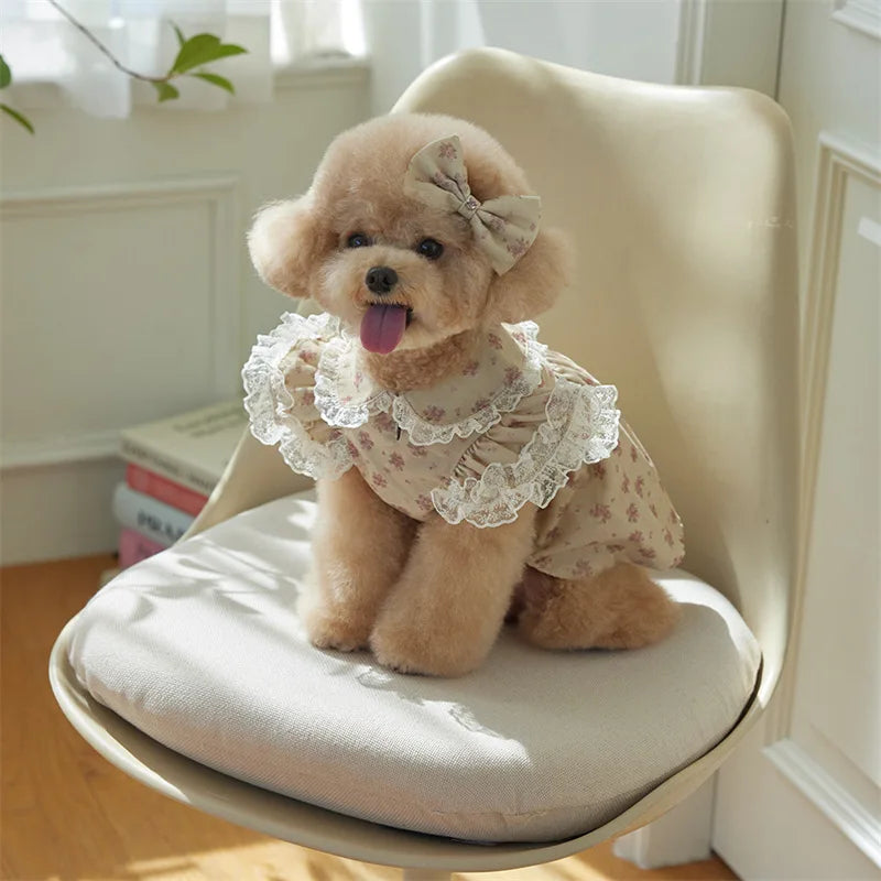 Vestido para perro con estampado floral, perro peludo surcando un estilo fresco y alegre.