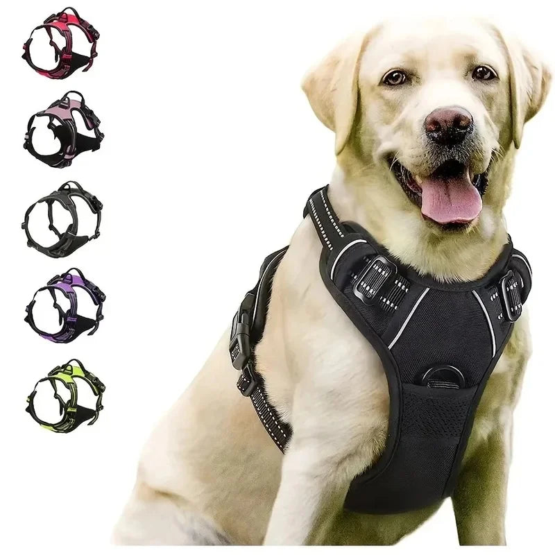 Collar para perro en varios colores, avec un chien heureux portant un harnais noir et plusieurs modèles colorés en arrière-plan.
