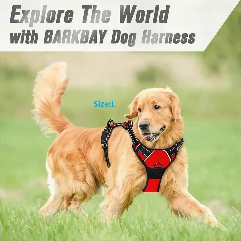Chien portant un harnais BARKBAY rouge, prêt pour l'exploration avec style et confort.
