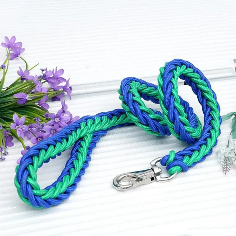 Correa de nylon para perro reforzada de 130 cm en colores azul y verde, ideal para paseos y aventuras al aire libre.