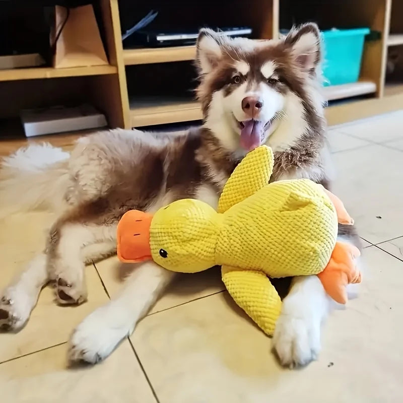 Perro feliz jugando avec un juguete de peluche con sonido para perro de Mitzon, un pato jaune.