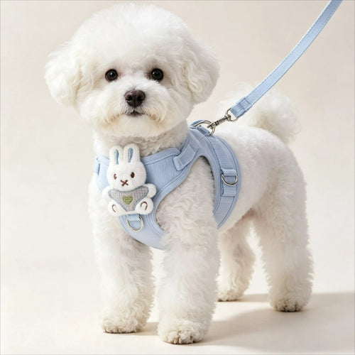 Chien portant un arnés ajustable de malla para perro pequeño de couleur bleu avec un jouet en peluche.