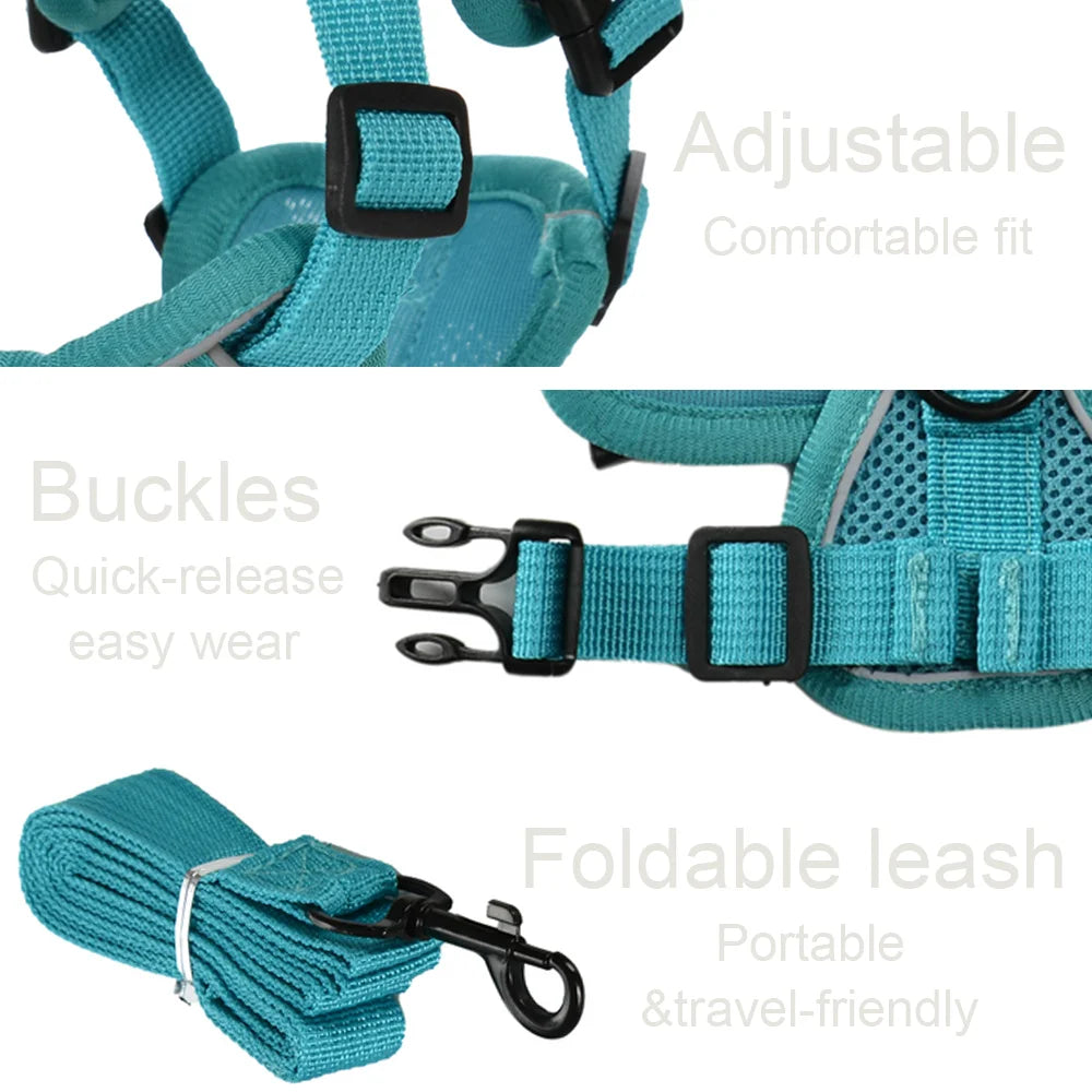 Arnés ajustable y correa para perro avec un système de boucles à libération rapide et une laisse pliable.