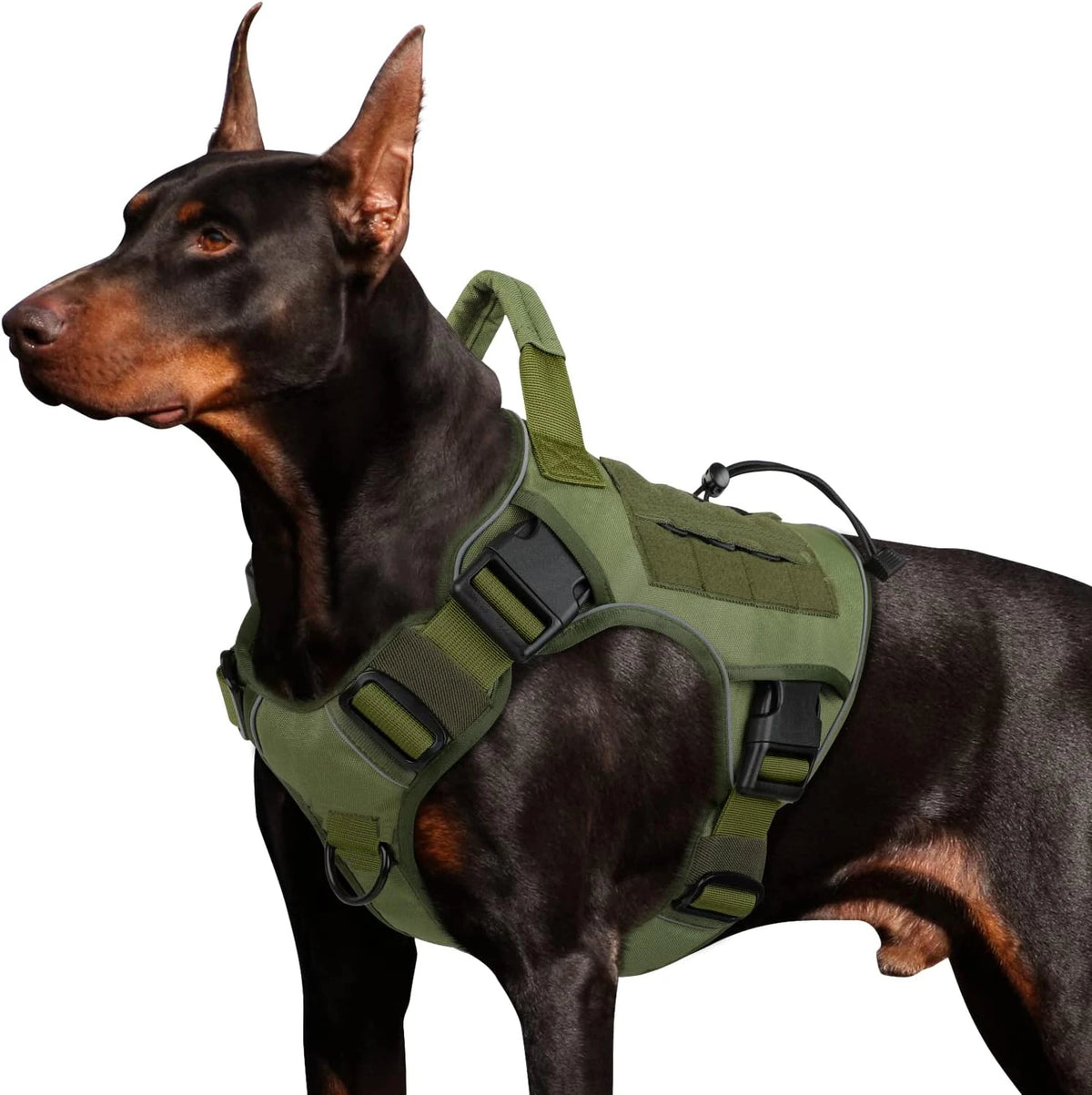 Arnés táctico para perro antitirones con asa en un perro Doberman, ideal para paseos y entrenamiento.