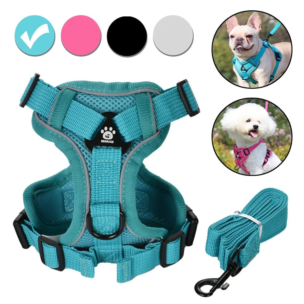 Arnés ajustable y correa para perro de color azul, con opciones de colores, idéal pour les promenades.