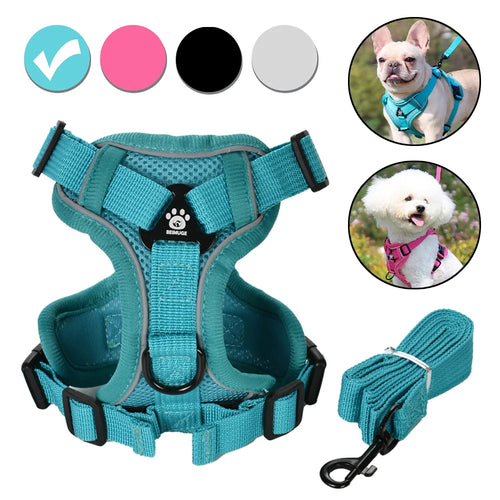 Arnés ajustable y correa para perro de color azul, con opciones de colores, idéal pour les promenades.