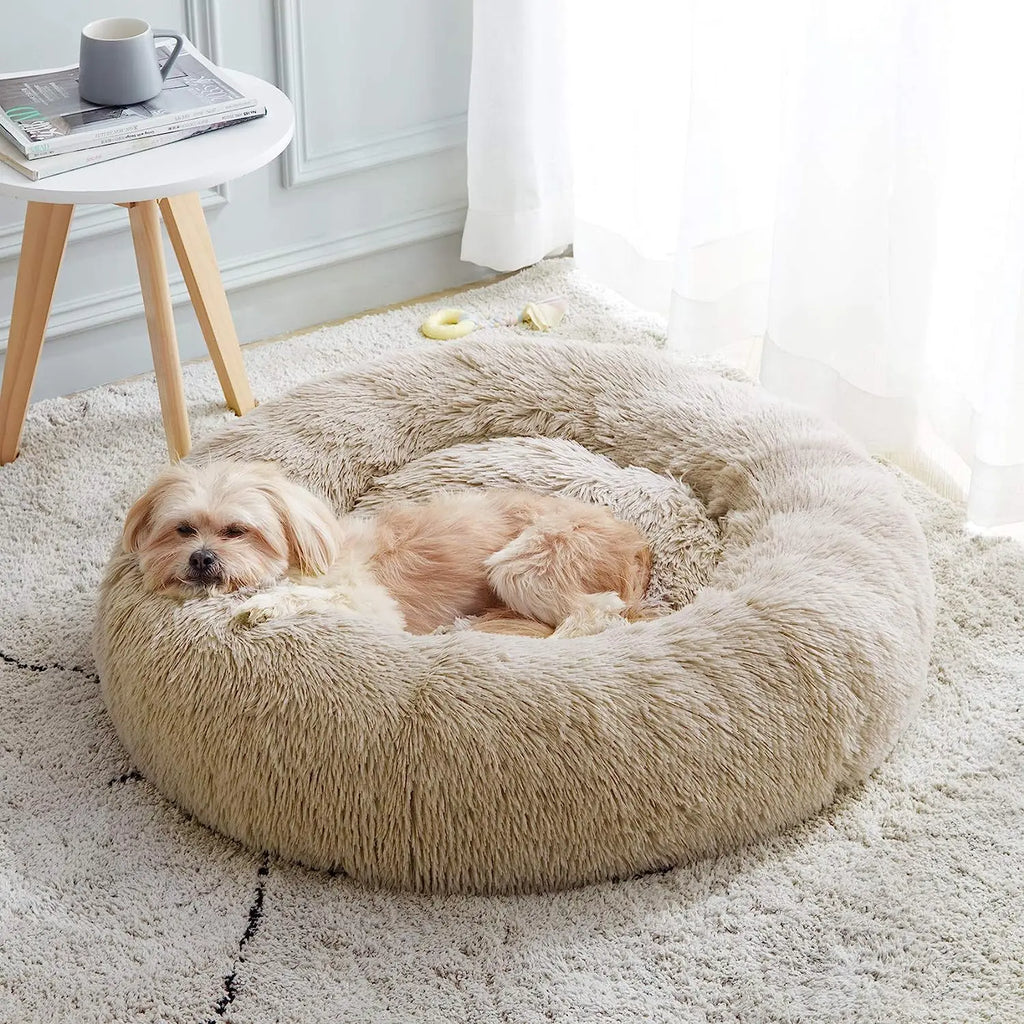 Cama suave de felpa para gatos y perros MITZON - cojín cálido y acogedor