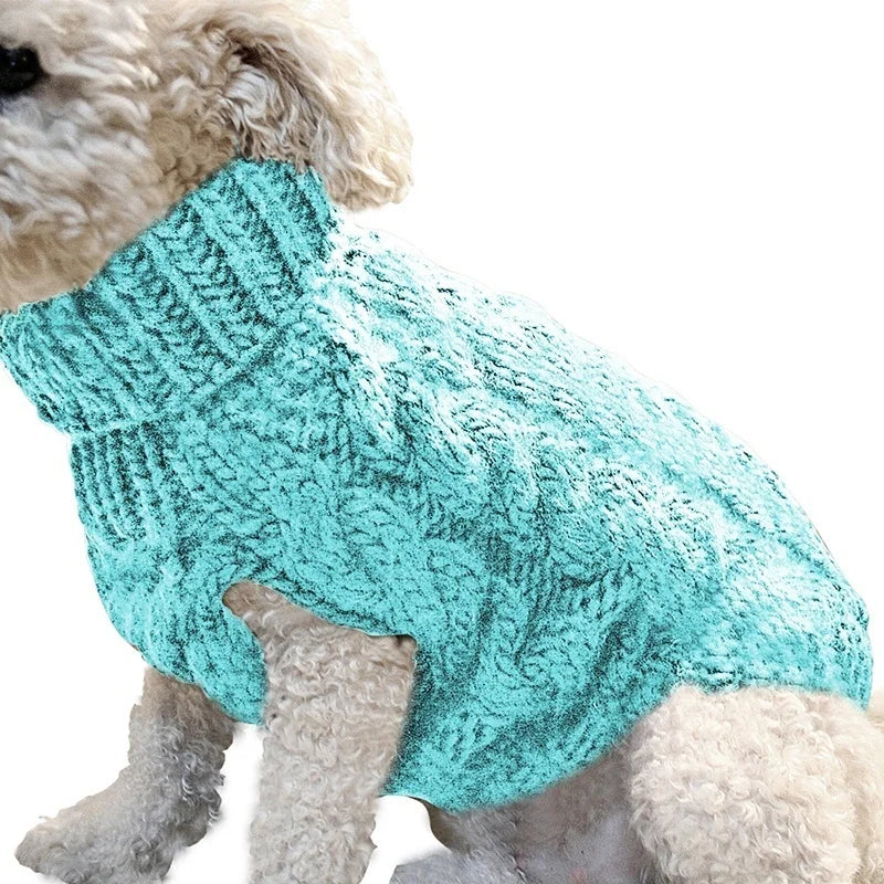 Un perro usando un suéter tejido de cuello alto para perro, color aqua, abrigado y elegante.
