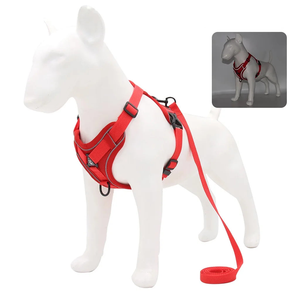 arnés y correa resistente para perro mediano y cachorro en rouge sur un chien en plastique blanc.