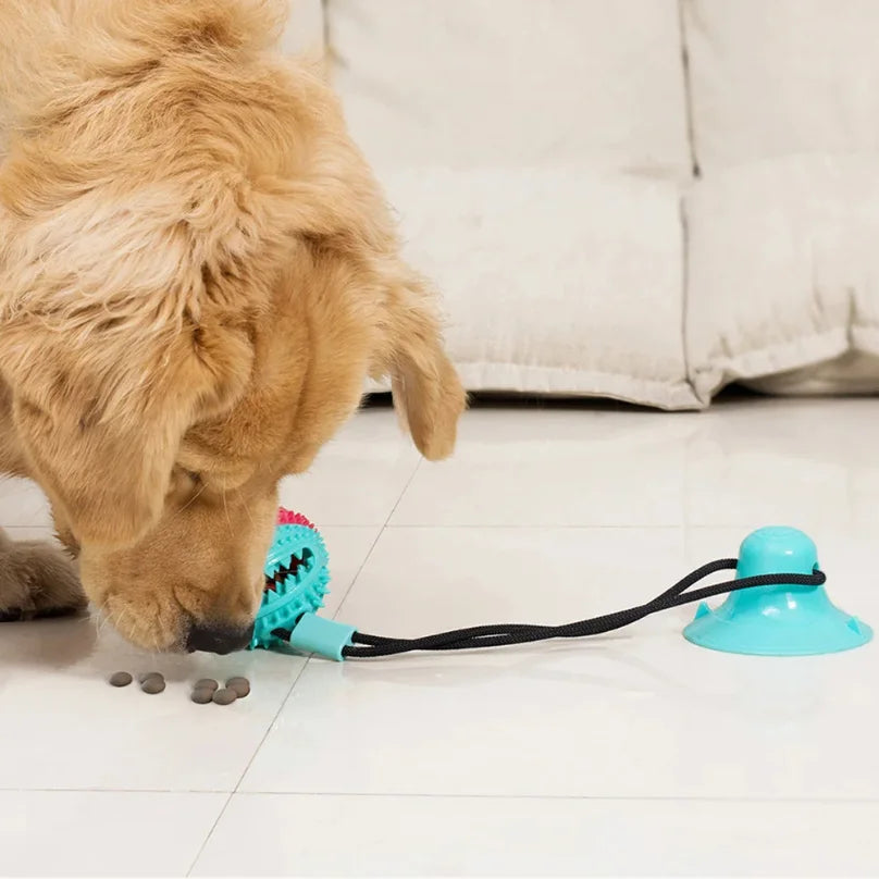 Un chien joue avec un jouet interactif avec ventosa pour chien sur un sol lisse, stimulant son amusement.