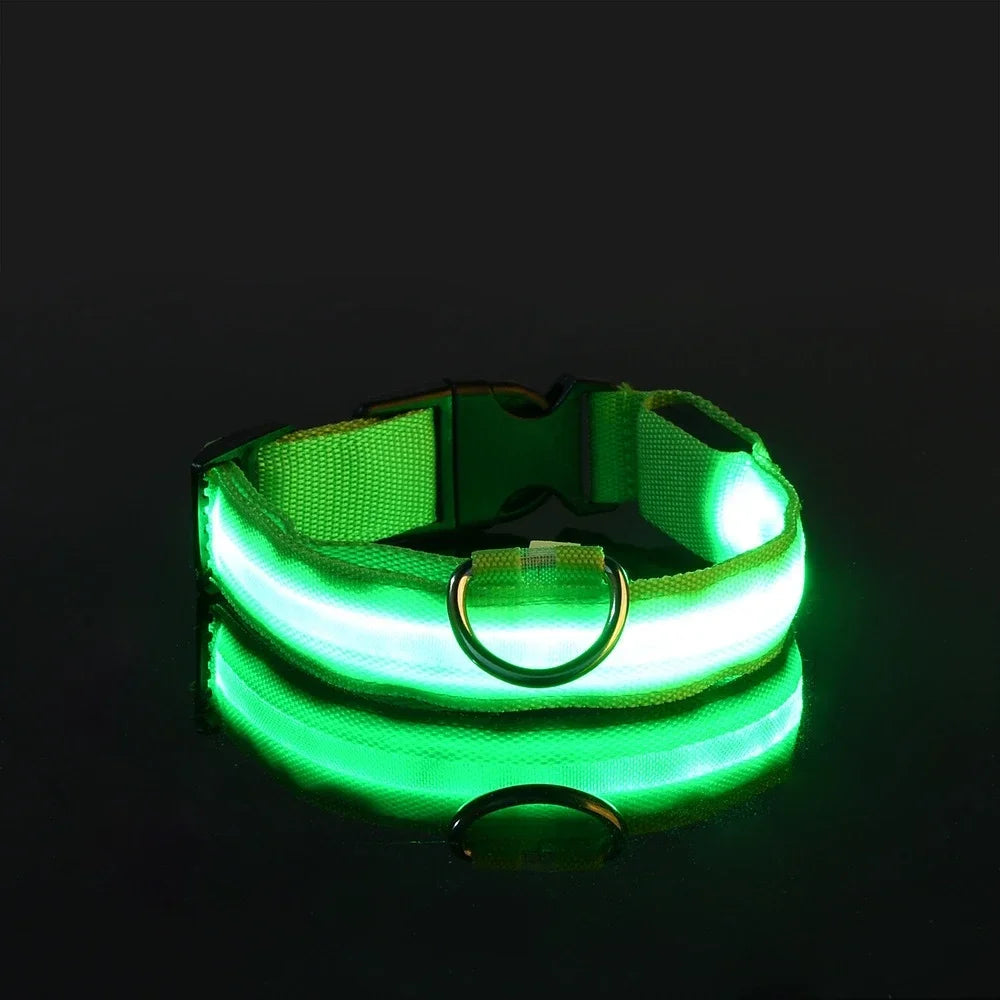 Collar LED para perro luminoso verde que brilla en la oscuridad, ideal para paseos nocturnos.