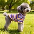 Playera de rayas arcoíris con olanes para perro en un día soleado en el parque.