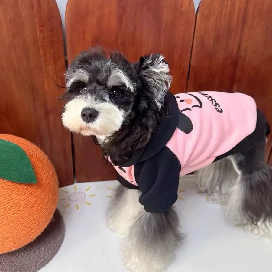 Sudadera rosa con capucha y mangas negras para perro, abrigando a un perro moderno.