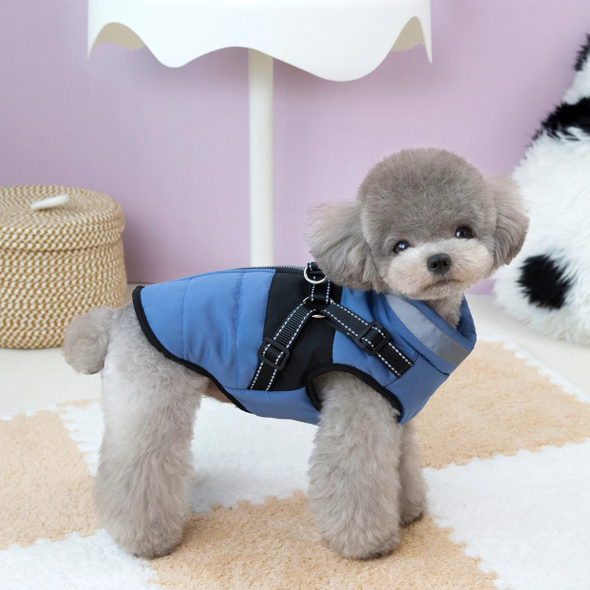 Chamarra de invierno para perro en color azul, ideal para mantener abrigado a tu mascota durante el frío.