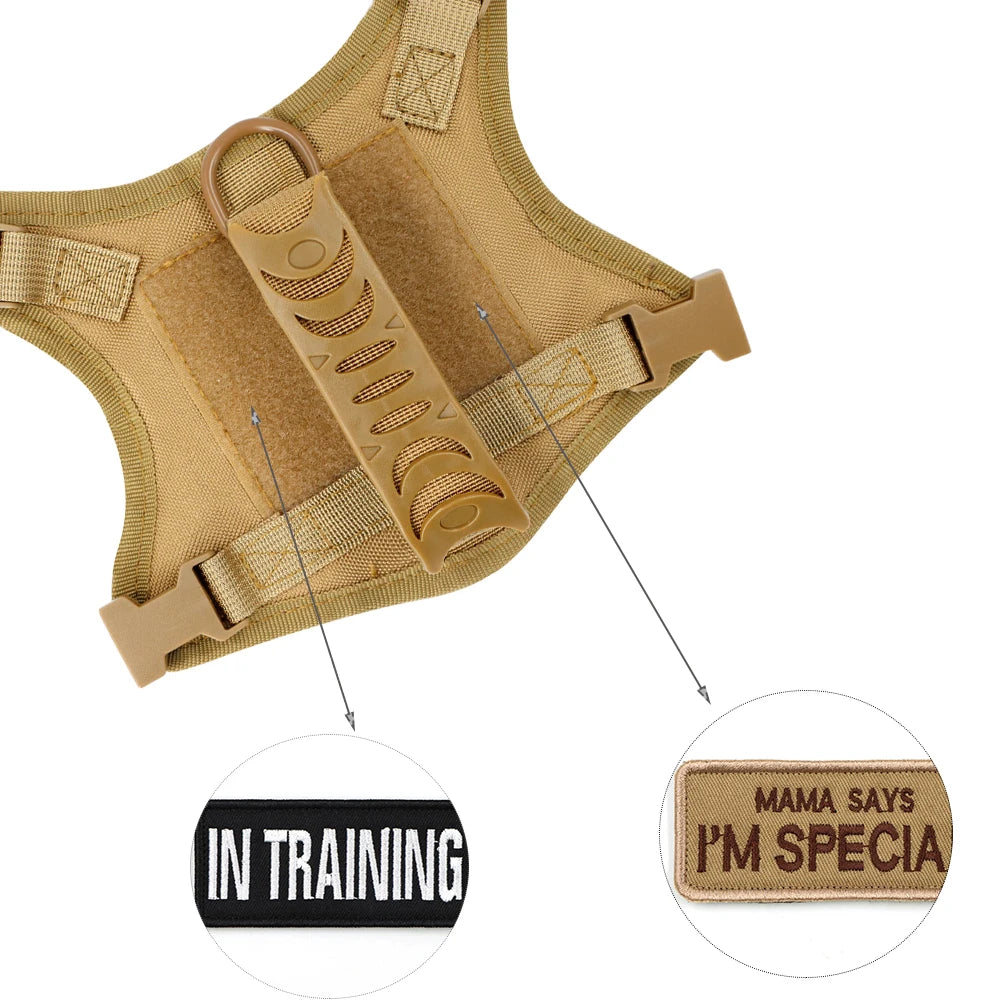 Arnés Táctico para Perro Pequeño con correa, diseño ergonómico, adecuado para entrenamiento, etiquetas "IN TRAINING" et "MAMA SAYS I'M SPECIAL".