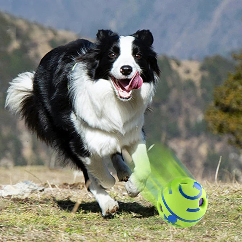 Pelota interactiva con sonido para perro Giggle Ball jouée par un chien heureux dans un paysage naturel.