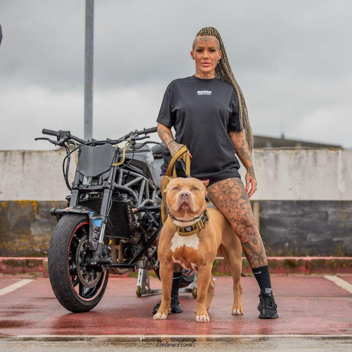 Correa premium para perro MITZON - accesorio de lujo resistente y elegante para paseo canino