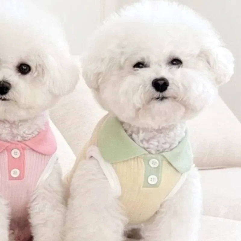 Polo de verano para perros pequeños MITZON - ropa fresca y elegante