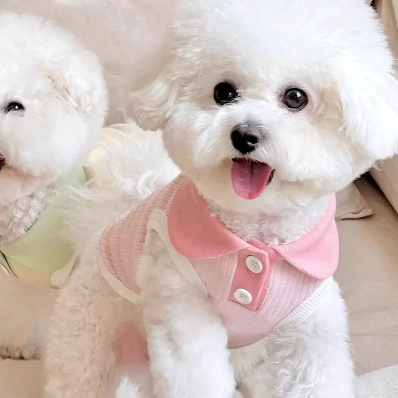 Polo de verano para perros pequeños MITZON - ropa fresca y elegante