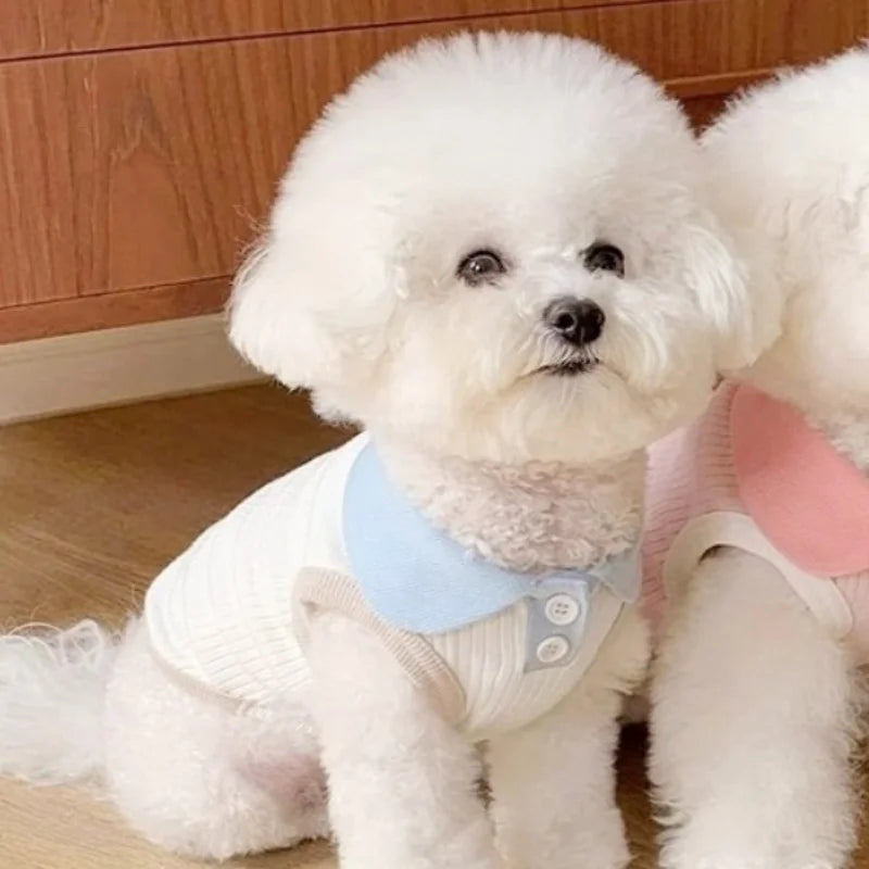 Polo de verano para perros pequeños MITZON - ropa fresca y elegante