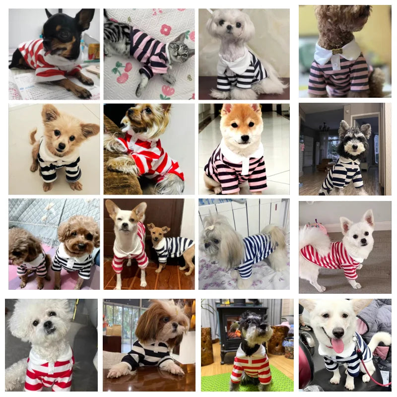 Polo de verano para perros pequeños MITZON - ropa fresca y elegante