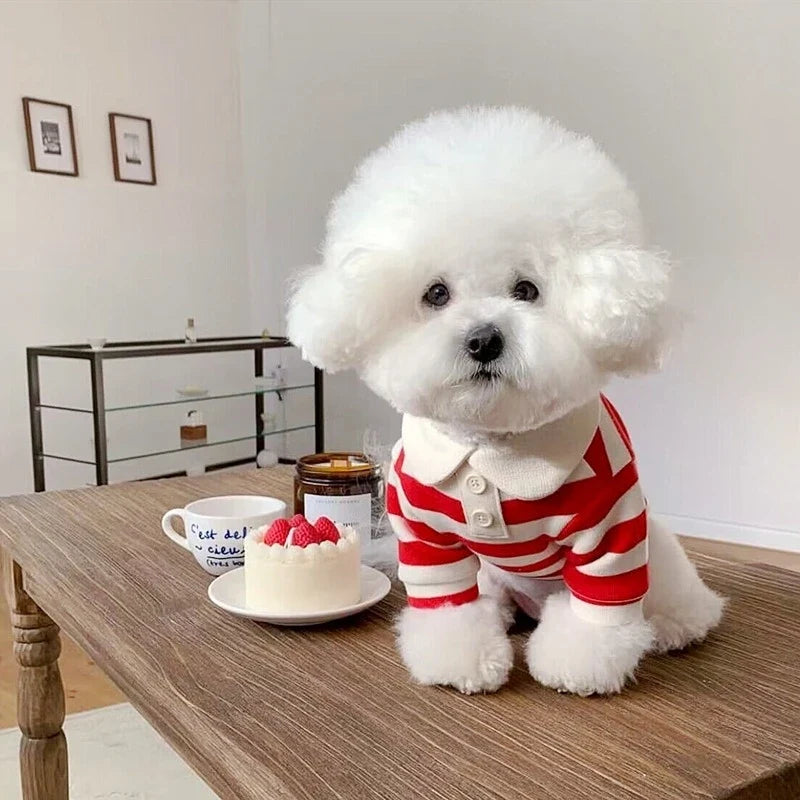 Polo de verano para perros pequeños MITZON - ropa fresca y elegante