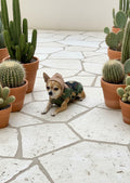 Chaleco Camuflaje MITZON - Xolo en terraza