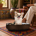 Cama redonda para perro blanca con cobija y juguete, chihuahua feliz en un ambiente hogareño.