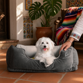 Cama para perro pequeño gris suave y resistente Mitzon avec un chien heureux et détendu.