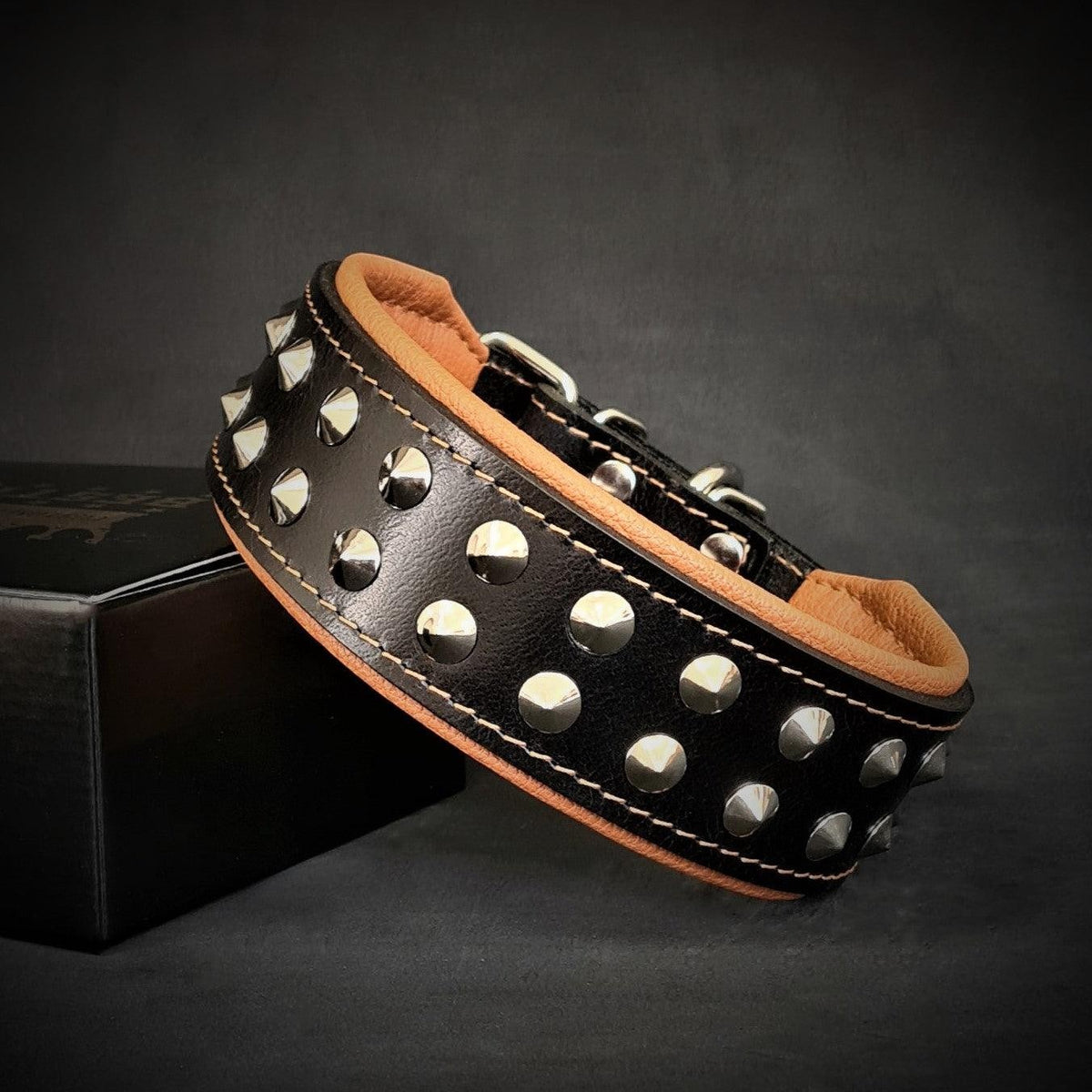 Collar Boston para perros - accesorio fashion premium MITZON