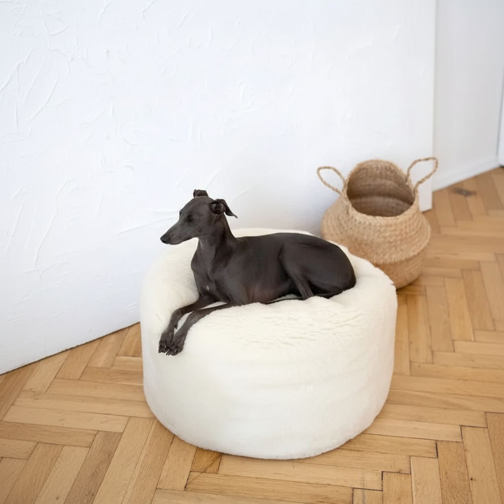 Cama ovalada de lana natural para mascotas - Blanca