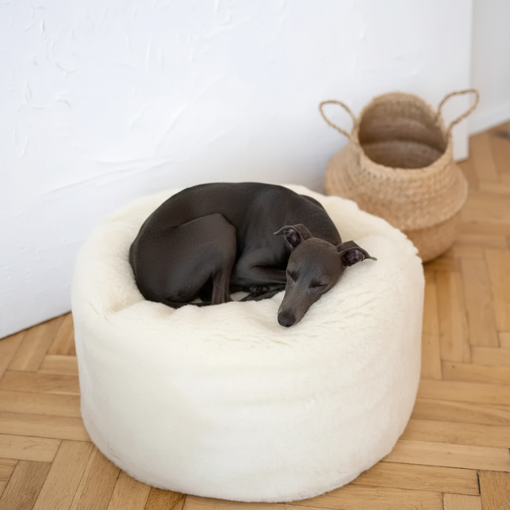 Cama ovalada de lana natural para mascotas - Blanca