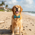 BOWTIE - MAR