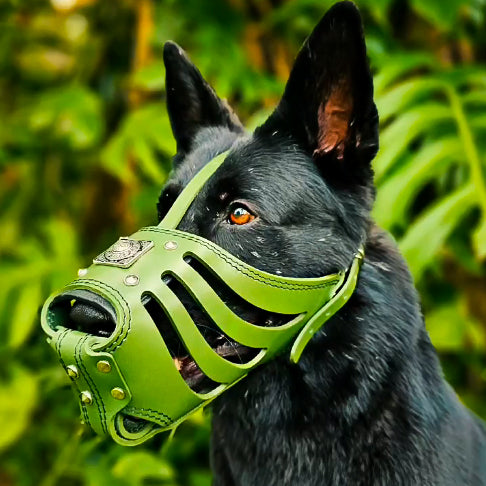 Bozal Eros premium verde para perros - material transpirable y resistente MITZON