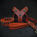 Set Eros para perros grandes - arnés collar y correa marrón y naranja - MITZON