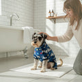 Pyjama Dálmatas MITZON - Perro en garage con camioneta