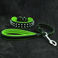 Set collar y correa Frenchie verde para perros - conjunto premium a juego - MITZON