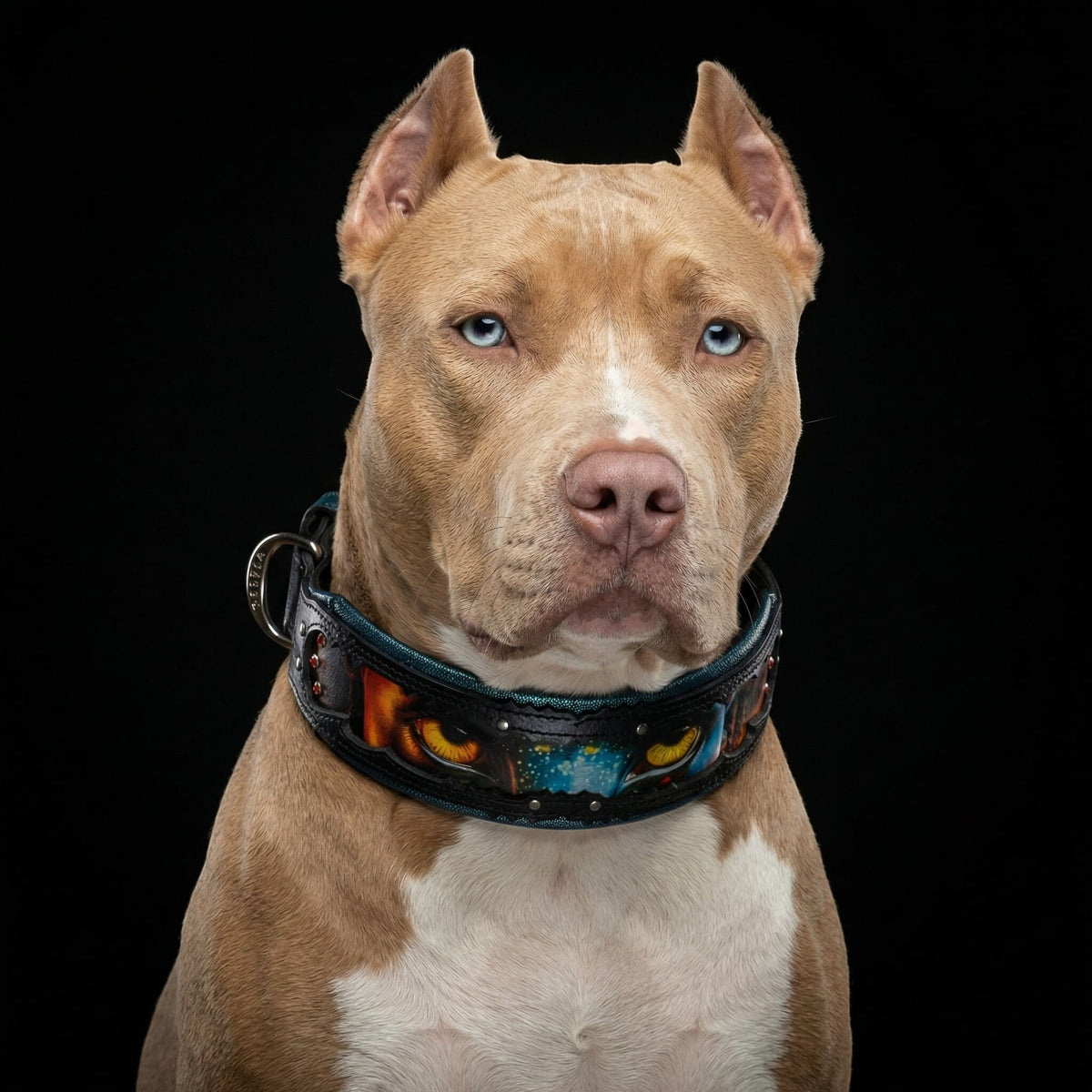 Collar Fire & Ash LIMITED premium para perros - estilo oscuro y ardiente de lujo - MITZON