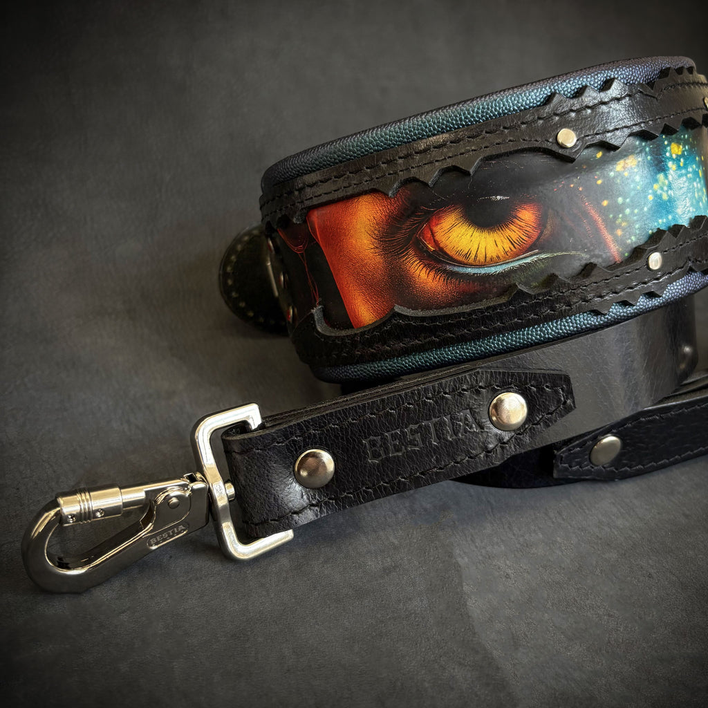 Collar Fire & Ash MITZON - accesorio de lujo edición limitada para perros con carácter