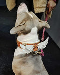 Collar Hermes premium para perros - accesorio de lujo sofisticado y elegante - MITZON