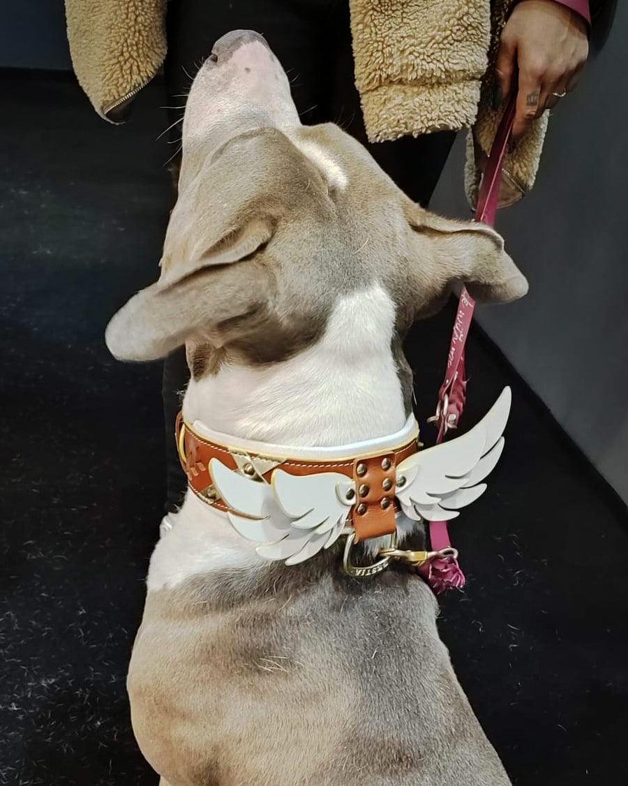 Collar Hermes premium para perros - accesorio de lujo sofisticado y elegante - MITZON