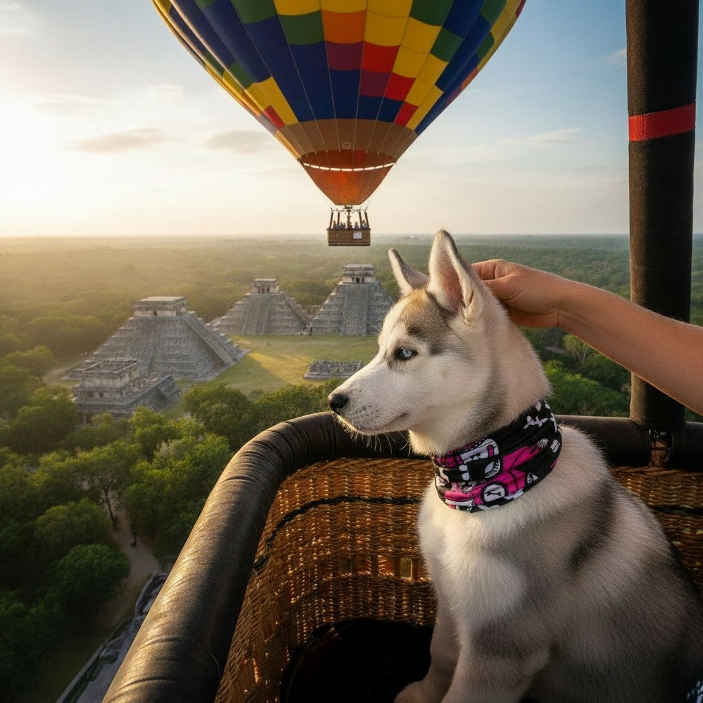 Chien husky portant un bandana rose Day of the Dog MITZON dans une montgolfière au-dessus de ruines mayas au lever du soleil