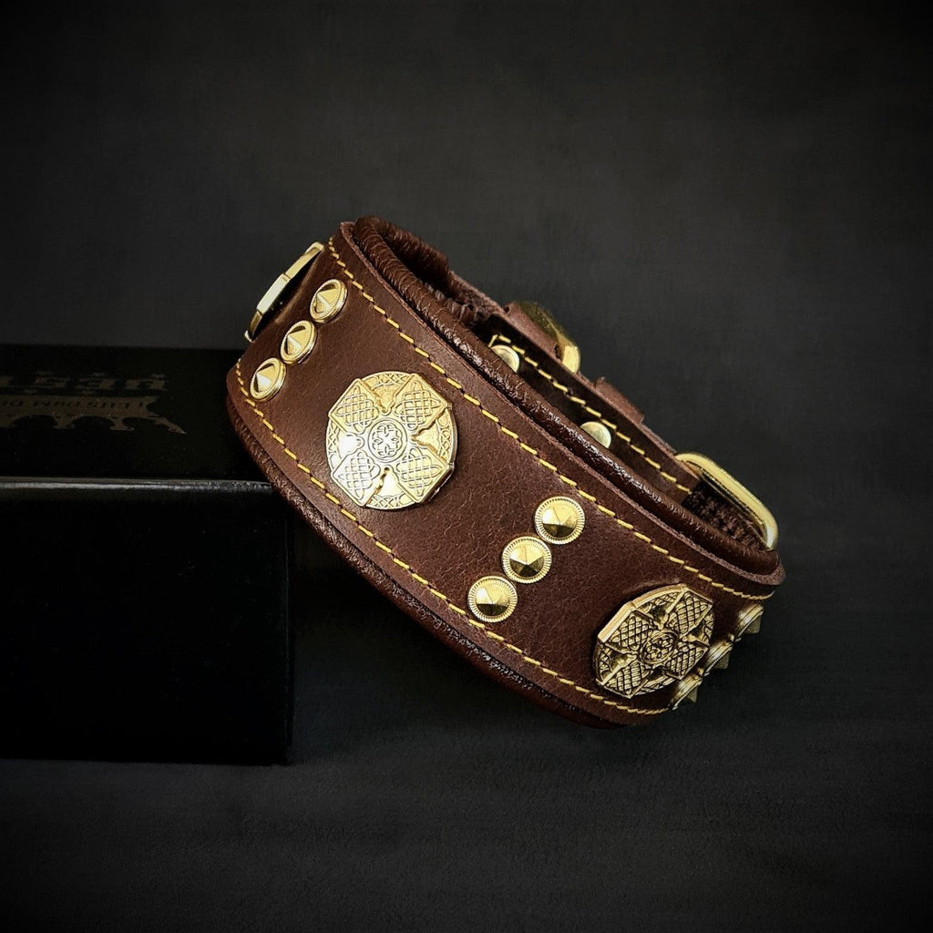Collier pour chien MITZON Maximus en cuir marron avec décorations dorées et rembourrage confortable