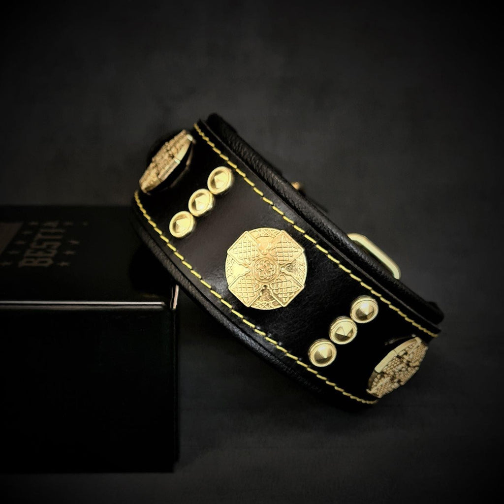 Collier pour chien MITZON Maximus en cuir noir avec décorations dorées et rembourrage confortable
