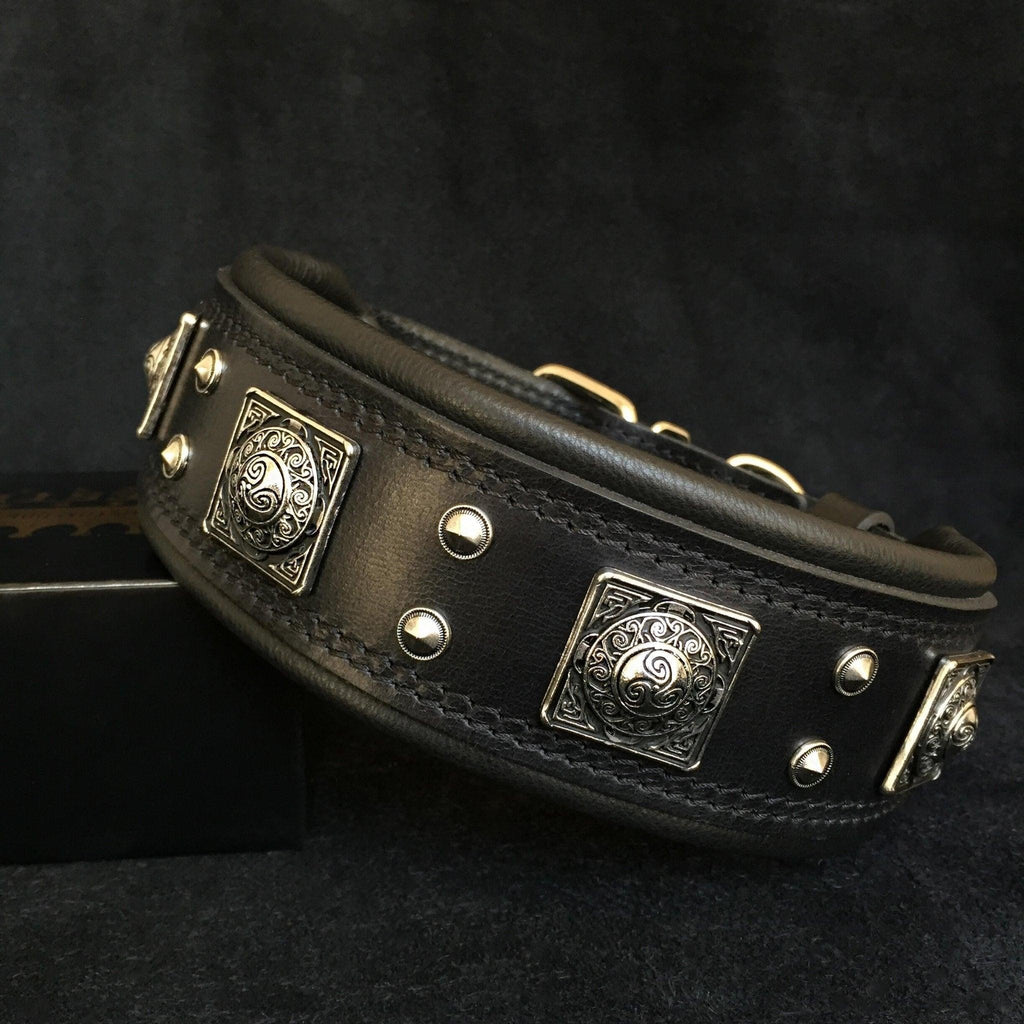Collier pour chien MITZON Eros en cuir noir large avec décorations métalliques argentées et rembourrage confortable