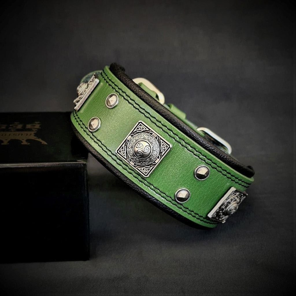 Collier pour chien MITZON Eros vert en cuir avec rivets décoratifs et rembourrage orthopédique doux