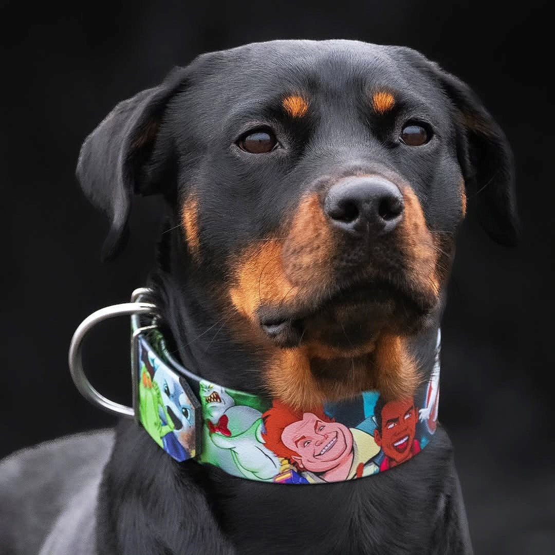 Collier pour chien MITZON Ghosts en biothane imperméable avec motifs de personnages sur un Rottweiler